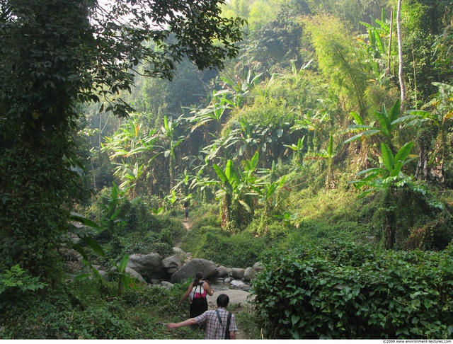 Background Forests