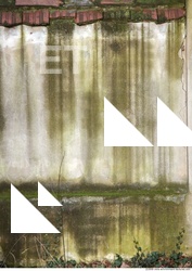 Wall Plaster Leaking