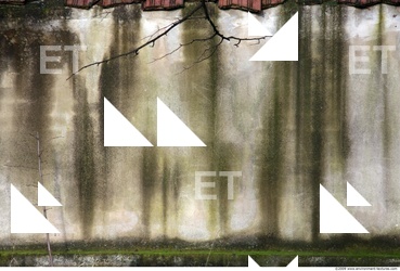 Wall Plaster Leaking