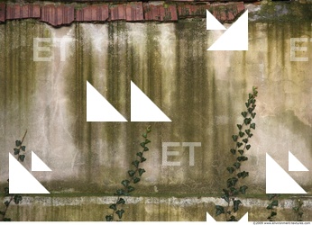 Wall Plaster Leaking