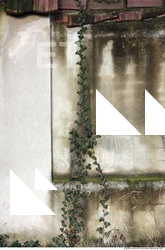 Walls Plaster Damaged