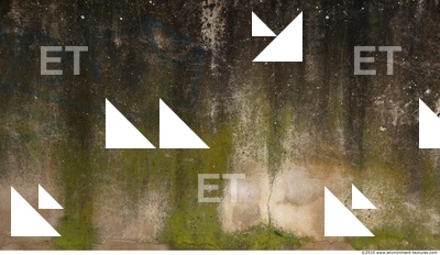 Wall Plaster Leaking