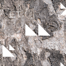 Seamless Tree Bark