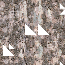 Seamless Tree Bark