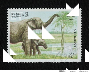 Stamps