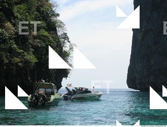 Background Nature 0015