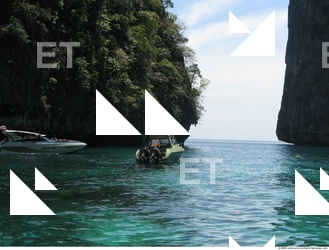 Background Nature 0014