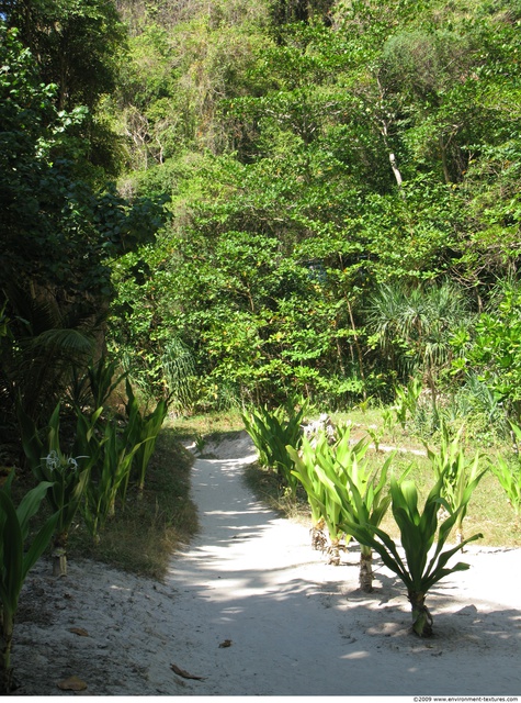 Background Forests