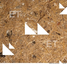 Ground Thatch 0002