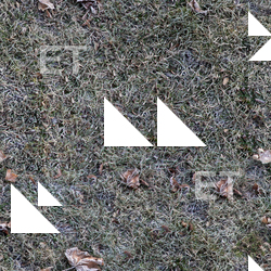 Seamless Grass Frozen