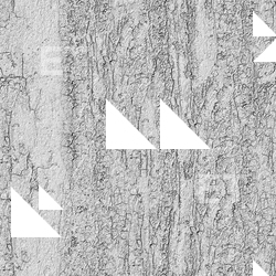 Seamless Tree Bark