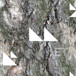 Seamless Tree Bark