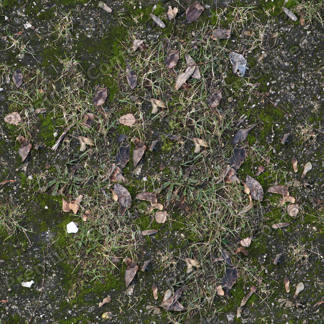 Seamless Grass