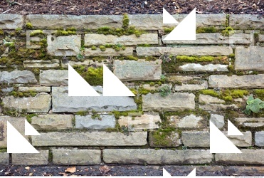 Overgrown Walls Stones