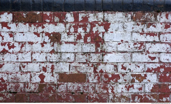 Wall Bricks Painted