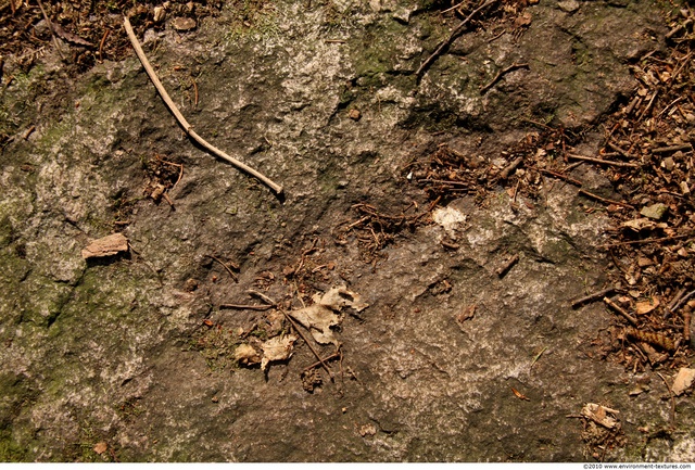 Mossy Rock