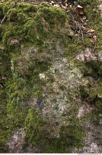 Mossy Rock