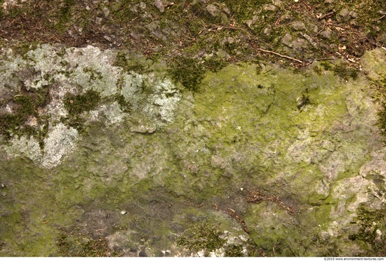 Mossy Rock