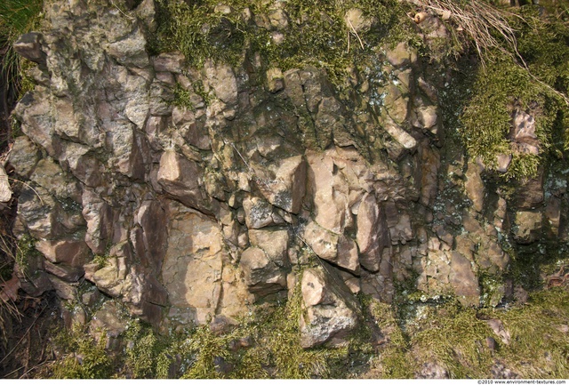 Mossy Rock