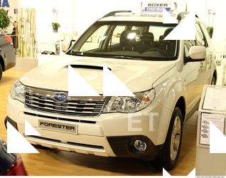 Photo Reference of Subaru Forester