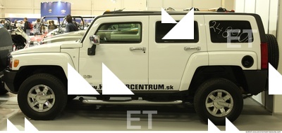 Photo Reference of Hummer