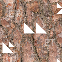 Seamless Tree Bark