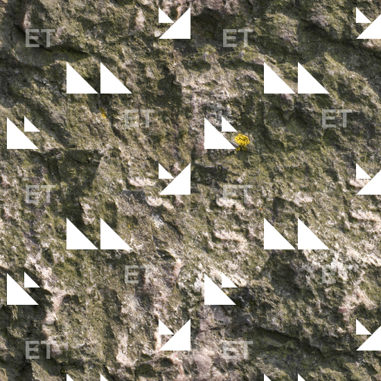 Stone