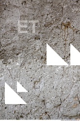 Walls Plaster Damaged