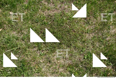 Photo Texture of Grass