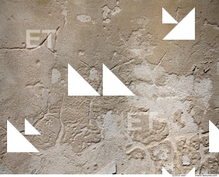 Walls Plaster Damaged