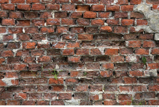 Wall Bricks Damaged