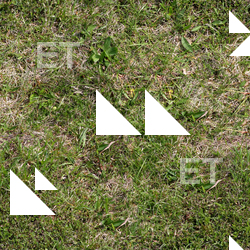 Seamless Grass