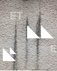 Wall Plaster Leaking