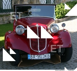 Photo Reference of Veteran