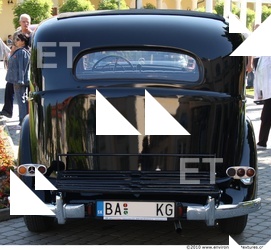 Photo Reference of Veteran