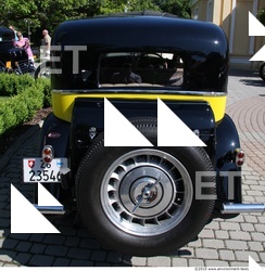 Photo Reference of Veteran