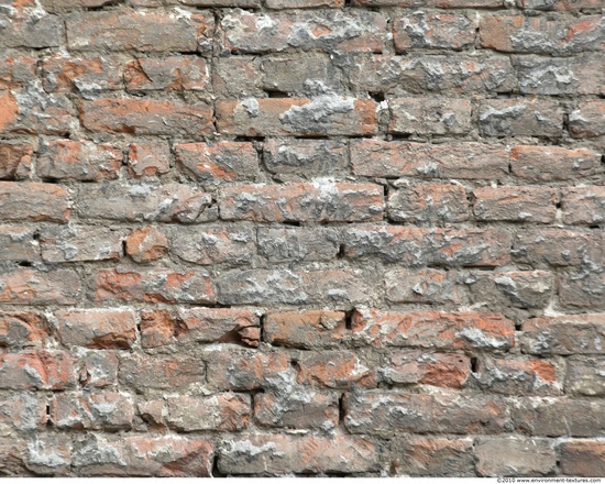 Wall Bricks Plastered