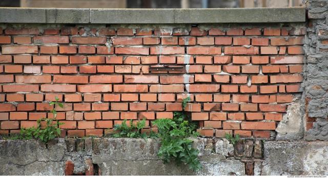 Wall Bricks Damaged