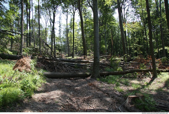 Background Forests