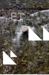 Streams Water