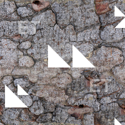 Seamless Tree Bark