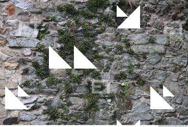 Overgrown Walls Stones