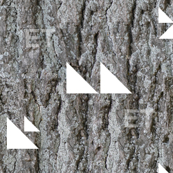 Seamless Tree Bark