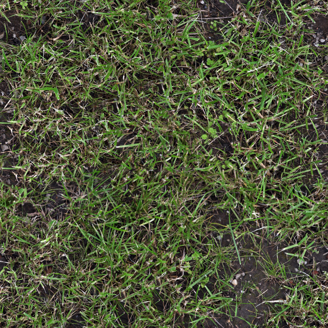 Seamless Grass