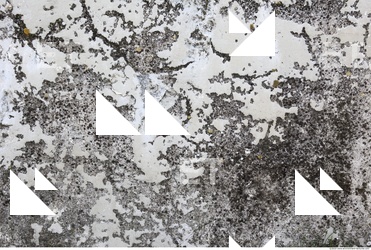 Walls Plaster Damaged