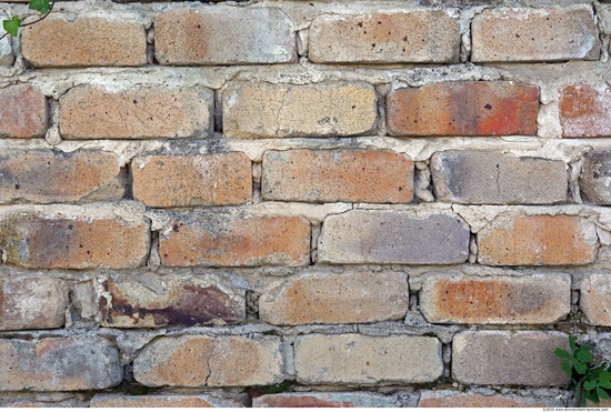 Wall Bricks Damaged