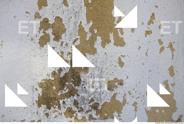 Walls Plaster Damaged