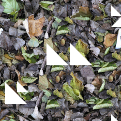 Seamless Ground 0001