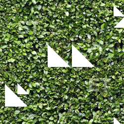 Seamless Ground 0001