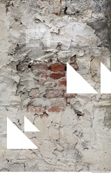 Walls Plaster Damaged